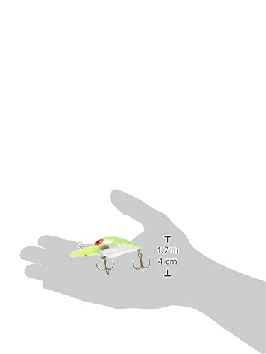 Storm Orig Wig Wart 5 lure with premium VMC hooks for sharp, durable hookups