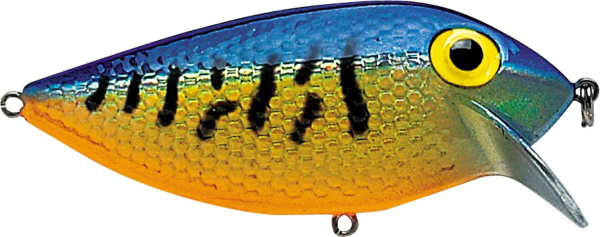 Storm ThinFin 06 lure in Metallic Gold Blue Tiger for versatile multi-species fishing.