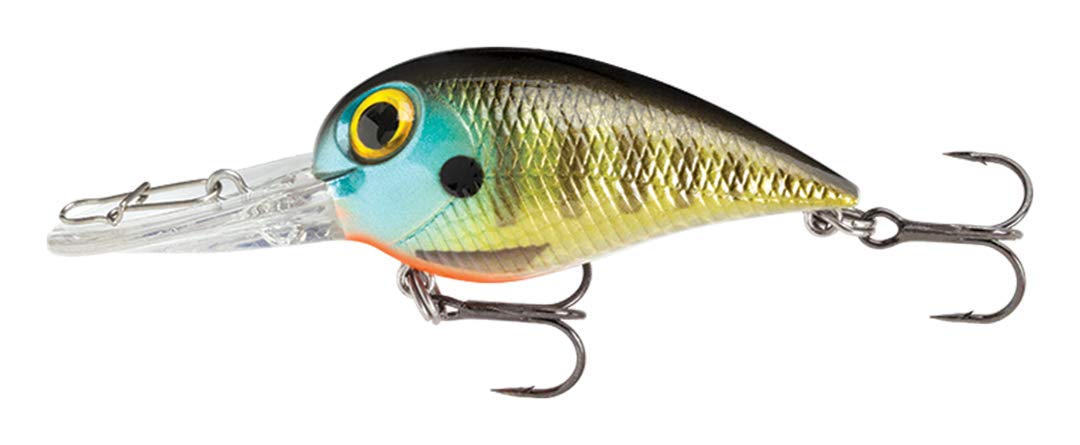 Storm Wiggle Wart MadFlash lure bluegill front view with holographic eyes for attracting strikes.