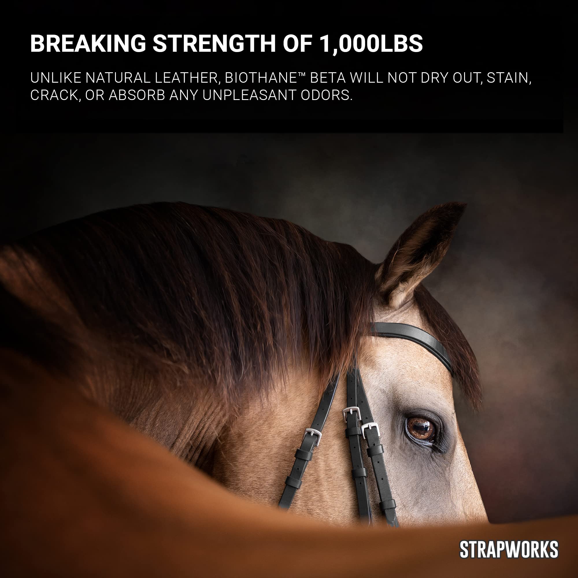 Strapworks BioThane 1in embossed-surface equine-use webbing for halters and reins.