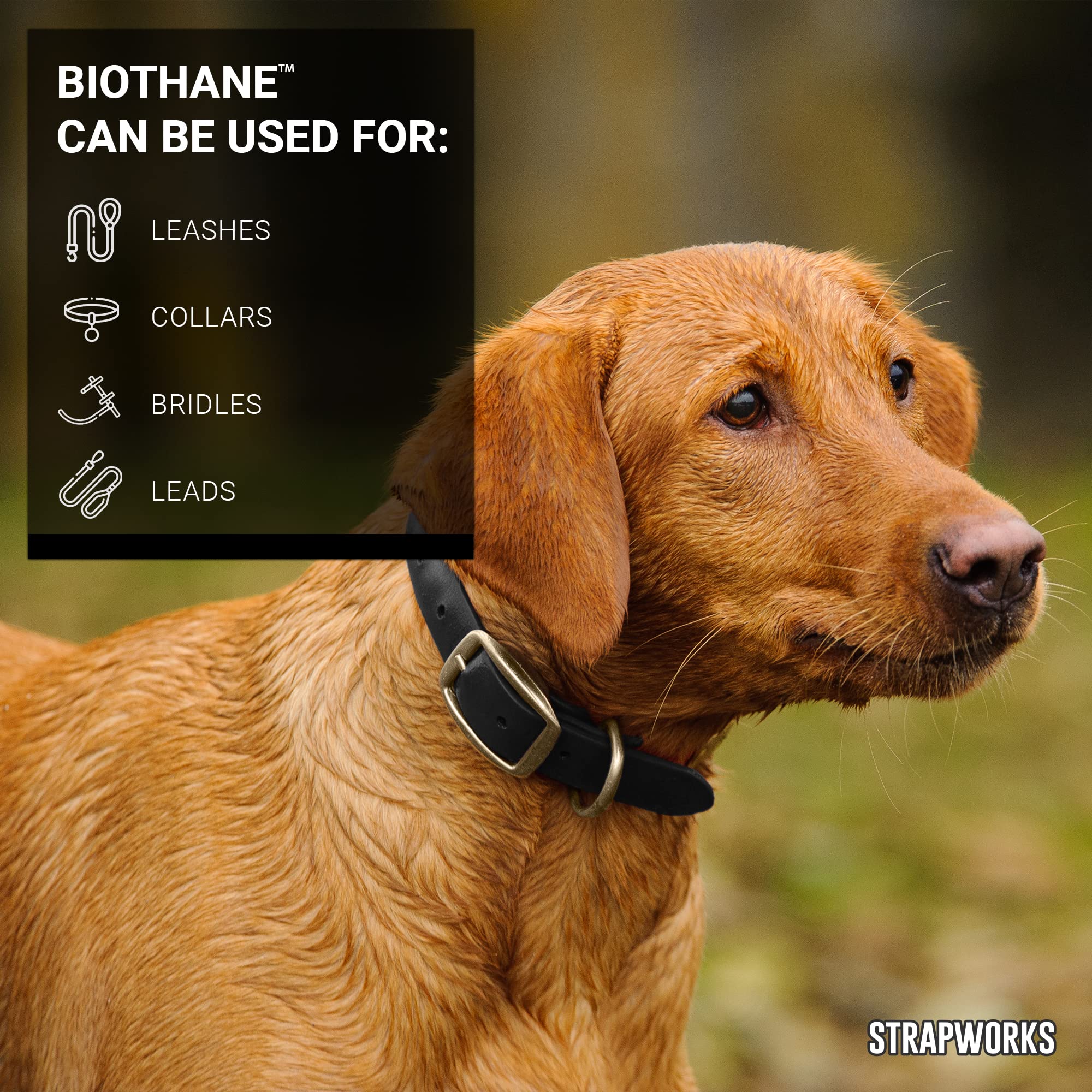 Strapworks BioThane 1in yellow webbing offering waterproof, fade-resistant performance.