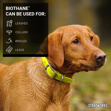 Strapworks hot-yellow color highlighting visibility for outdoor gear and straps.