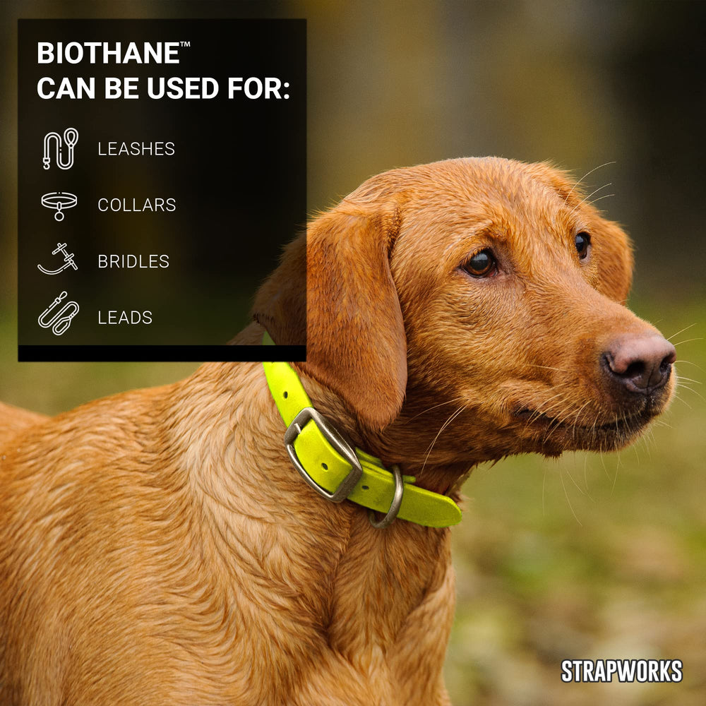 Strapworks hot-yellow color highlighting visibility for outdoor gear and straps.