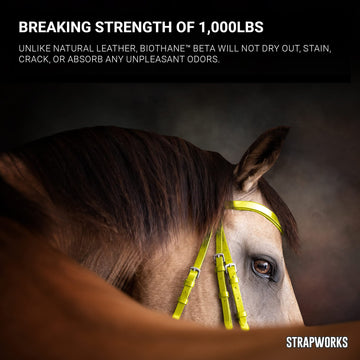 Strapworks waterproof coating resists fading and staining in rugged environments.