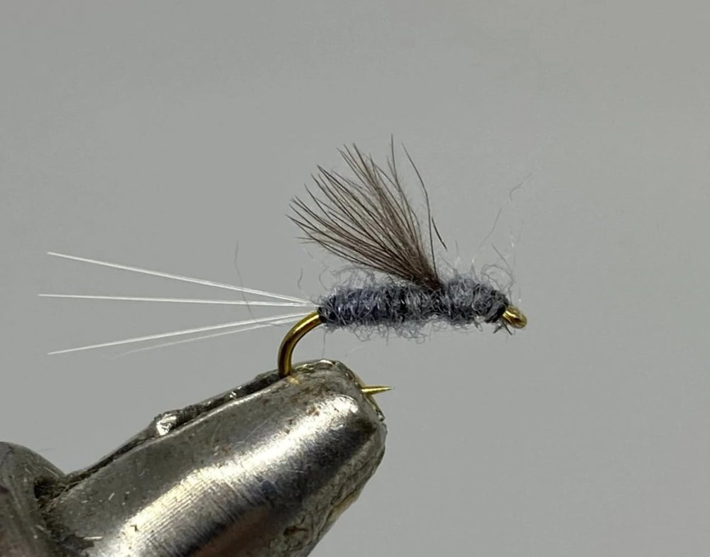 Strike Fly CDC Rs2 Grey size 20 dry fly, ideal for precise trout presentation.