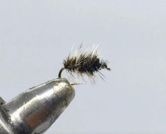 Strike Fly Griffiths Gnat dry fly for wild Pennsylvania trout
