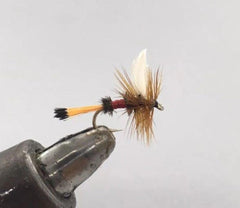 Strike Fly Company Royal Coachman dry fly size 14 for trout, delivering a natural surface presentation.