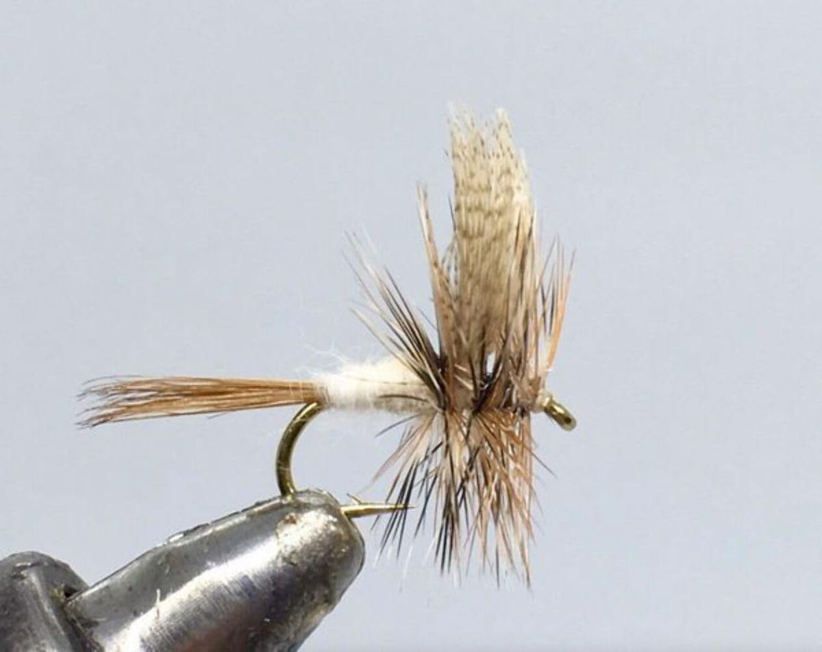 Strike Fly Grey Fox Dun Size 18 dry fly for trout on mayfly hatches