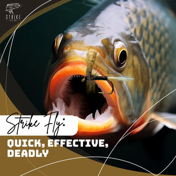 Strike Fly Quill Gordon Dun size 14 angler-ready dry fly in the vise