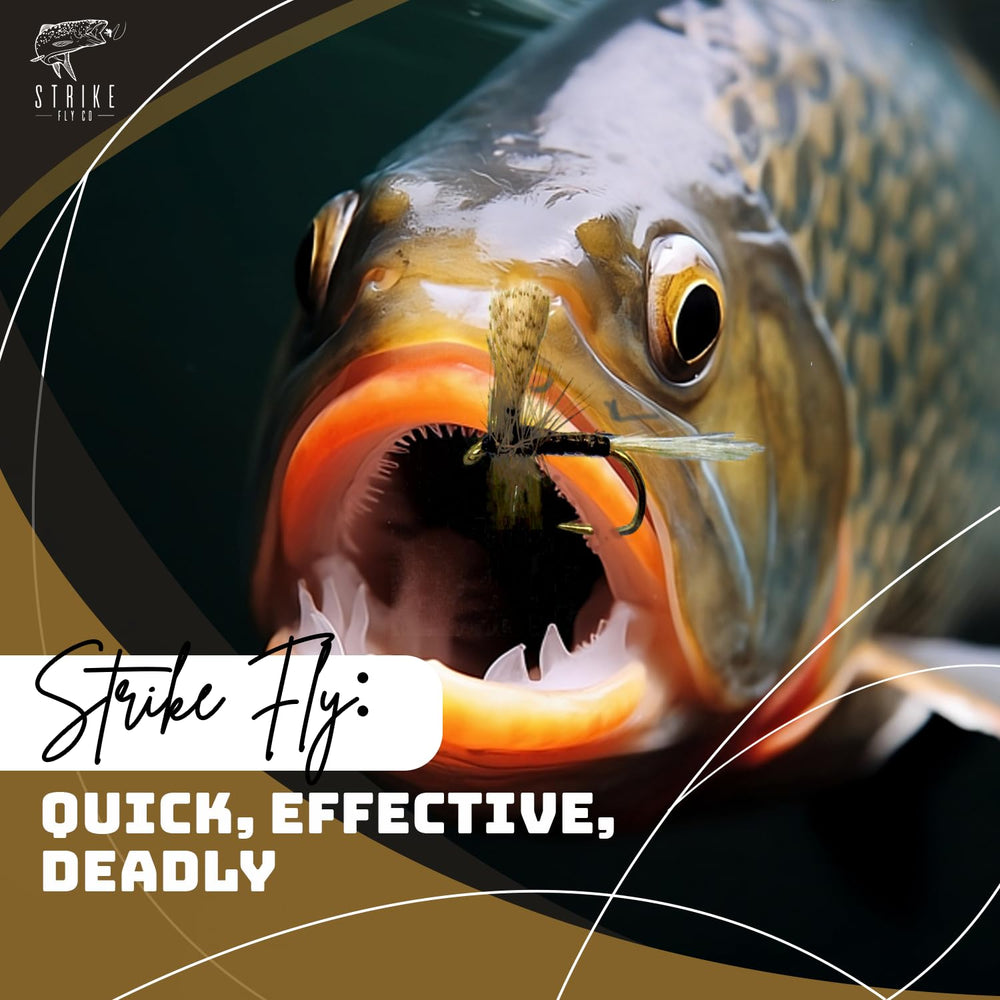Strike Fly Quill Gordon Dun size 14 angler-ready dry fly in the vise