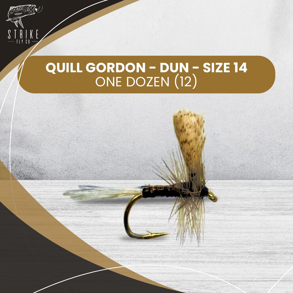 Strike Fly Quill Gordon Dun size 14 dry fly in flight highlighting buoyant hackle