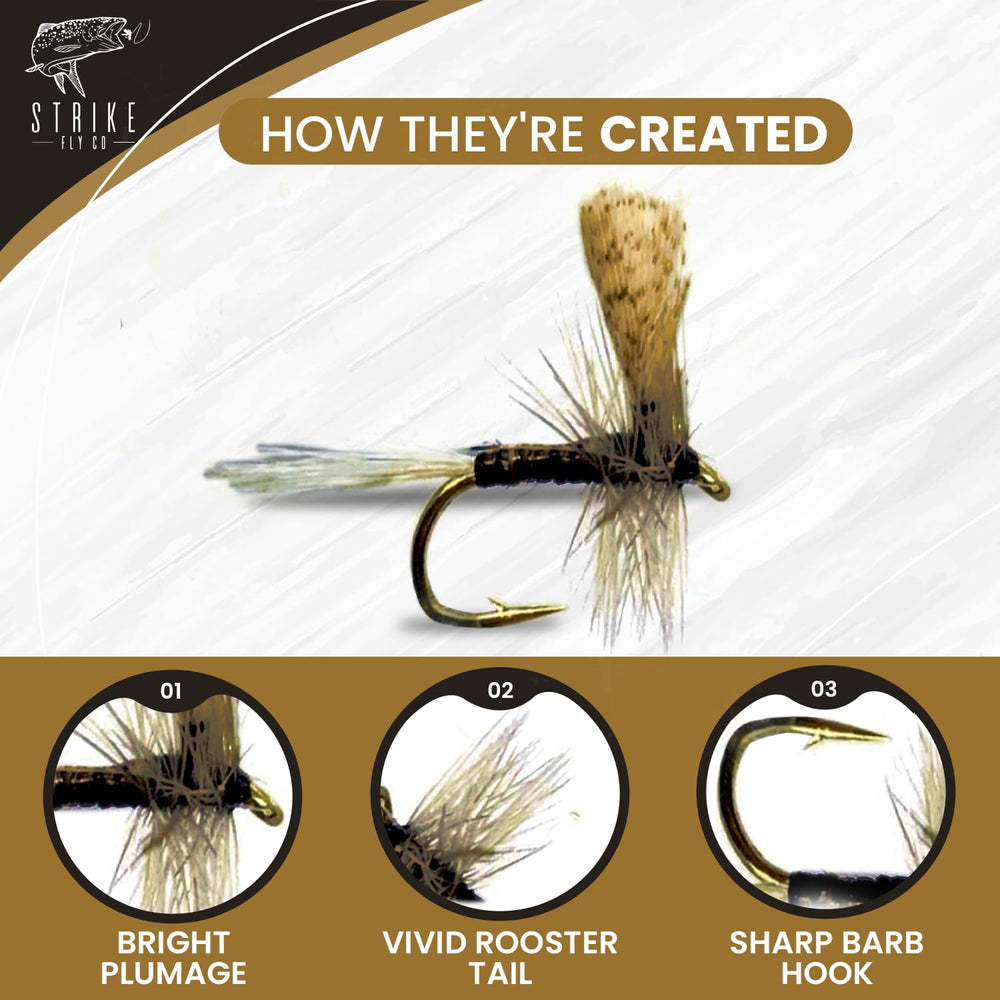 Strike Fly Quill Gordon Dun size 14 dry fly with detailed hackle and quill body