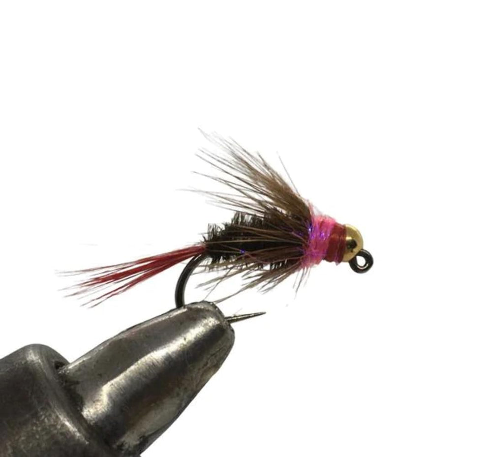 Strike Fly Company tungsten beadhead jig Red Dart Peacock Body for precise sinking and casting.