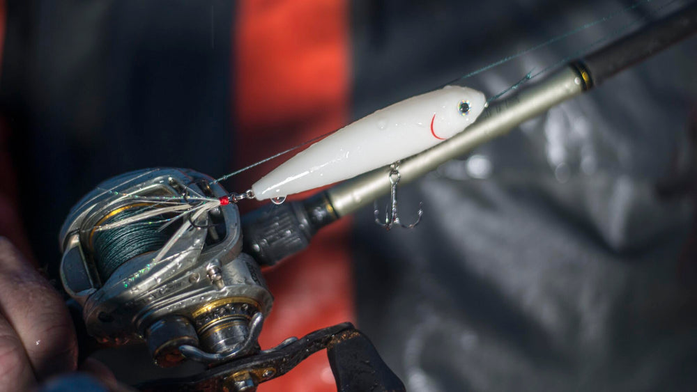 Strike King KVD Sexy Dawg Junior with vivid 3D eyes detail for realistic targeting.