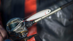 Strike King KVD Sexy Dawg Junior with vivid 3D eyes detail for realistic targeting.