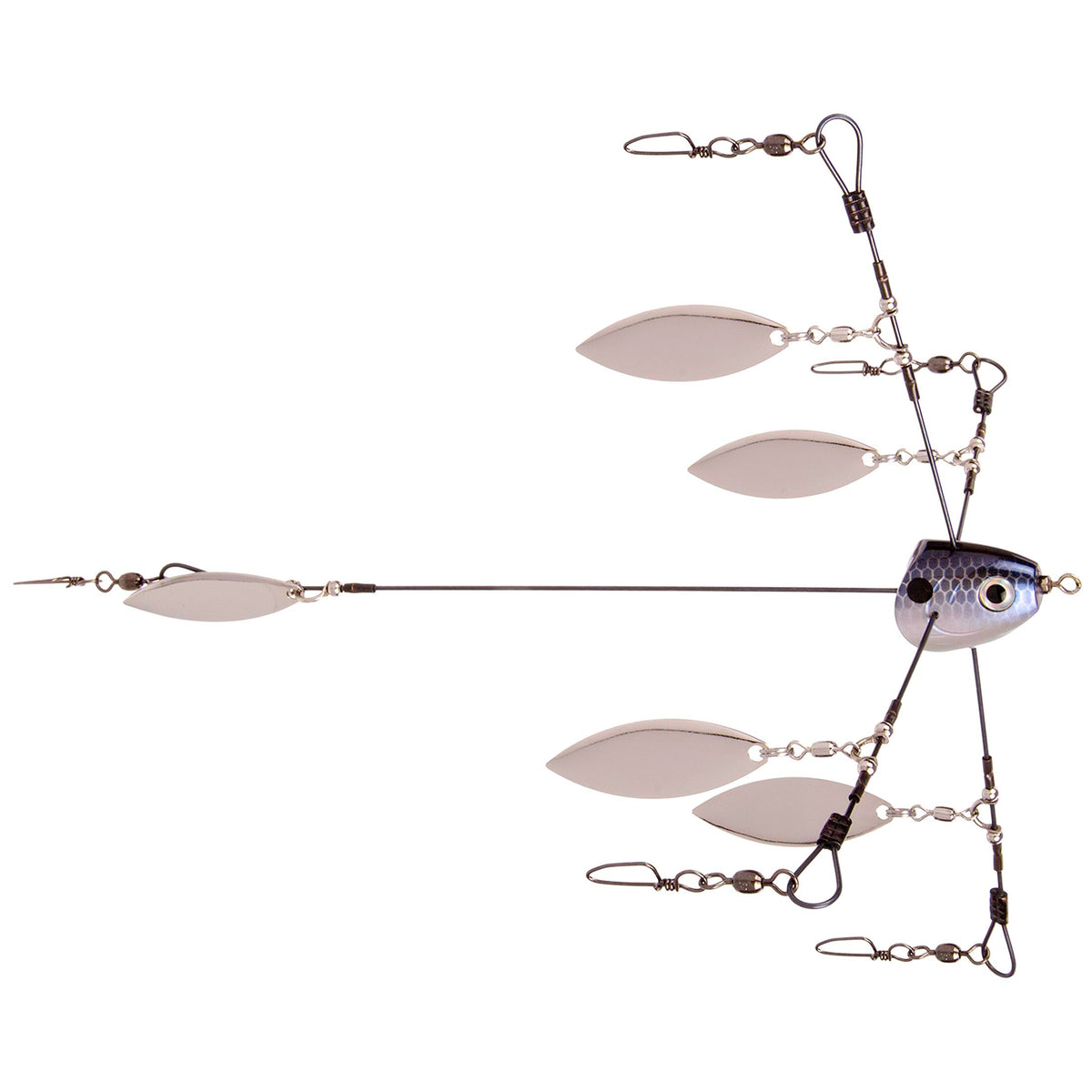 Strike King TGTRSHW-583 Tour Grade Titanium Rig in Blue Gizzard Shad