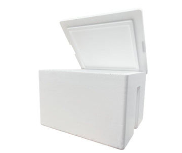 Styrofoam Ice Chest lid open for quick picnic access.