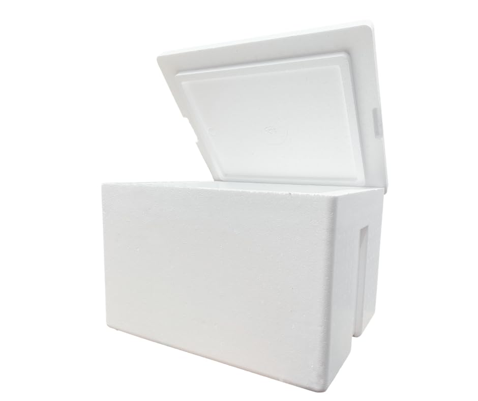 Styrofoam Ice Chest lid open for quick picnic access.