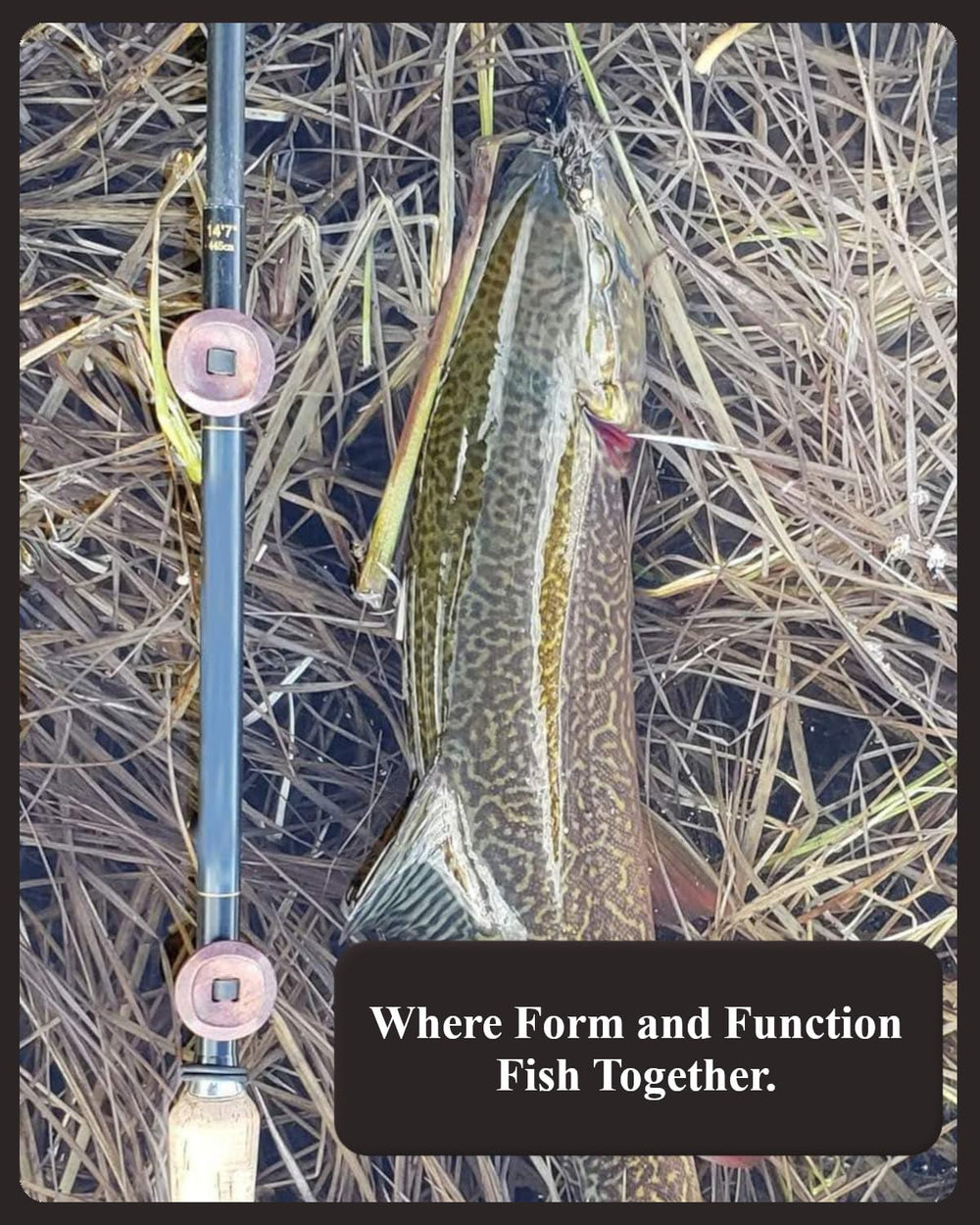 UV resistant elastic rubberbands securing line on rod