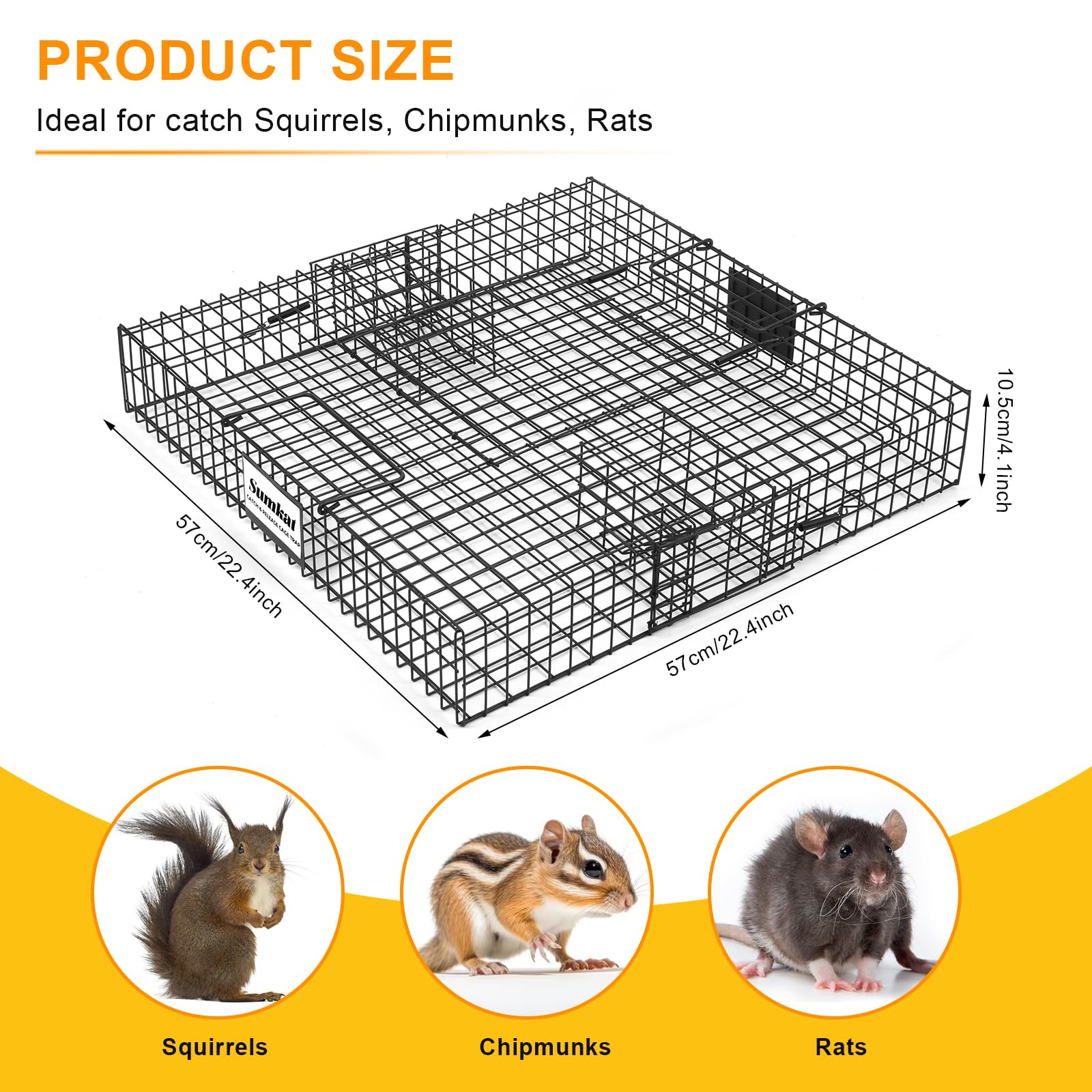 Sumkat Squirrel Trap release top lid allows safe, distance-based release.