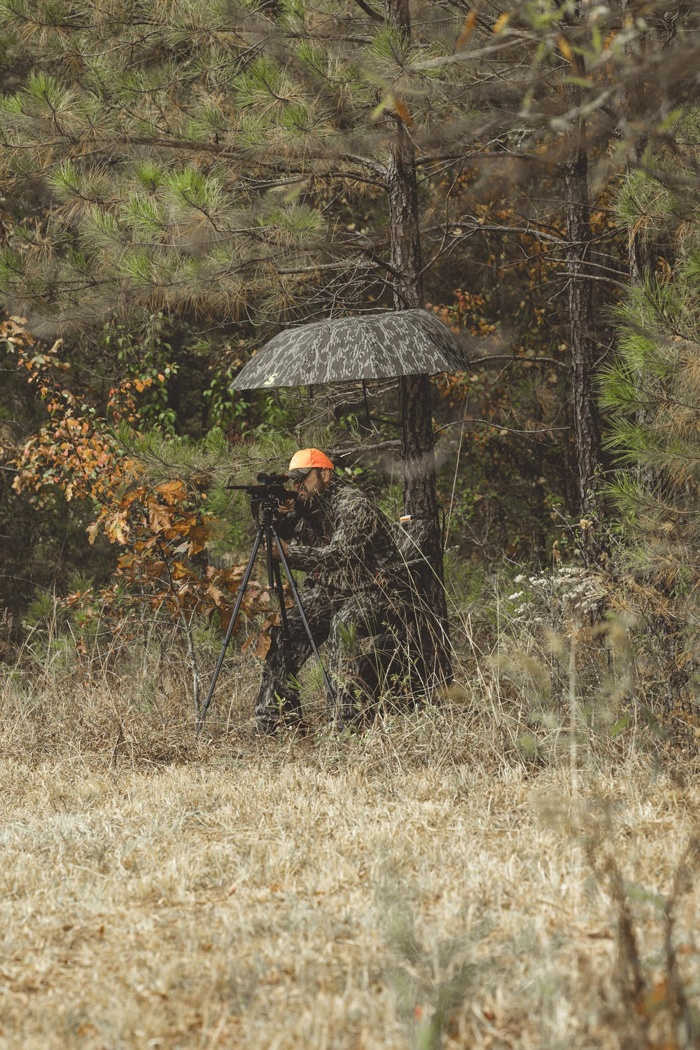 Patent pending umbrella design