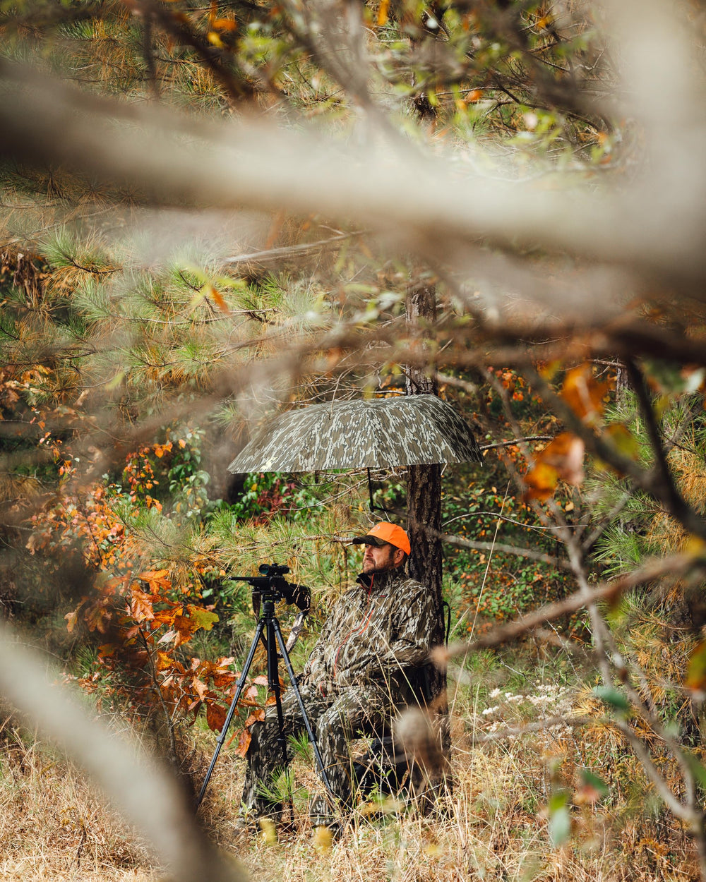 Tree diameter range compatible from 8 to 20 inches