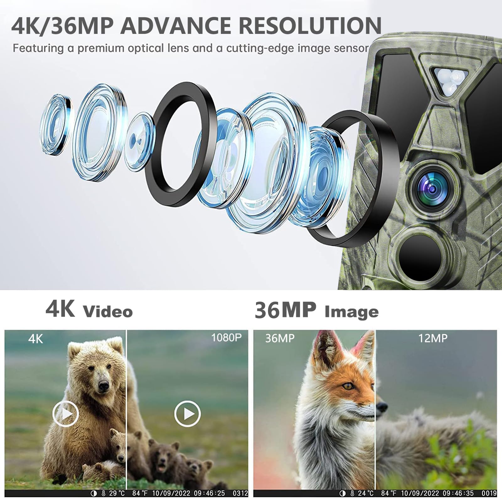 SuntekCam 4K 36MP imaging reveals fine wildlife details.