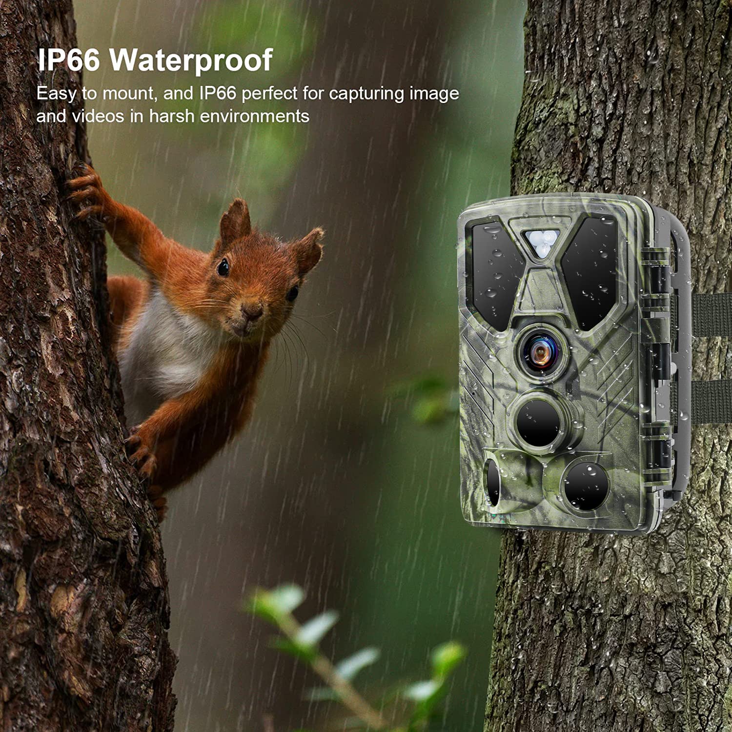 SuntekCam IP66 weatherproof build handles rain and dust.