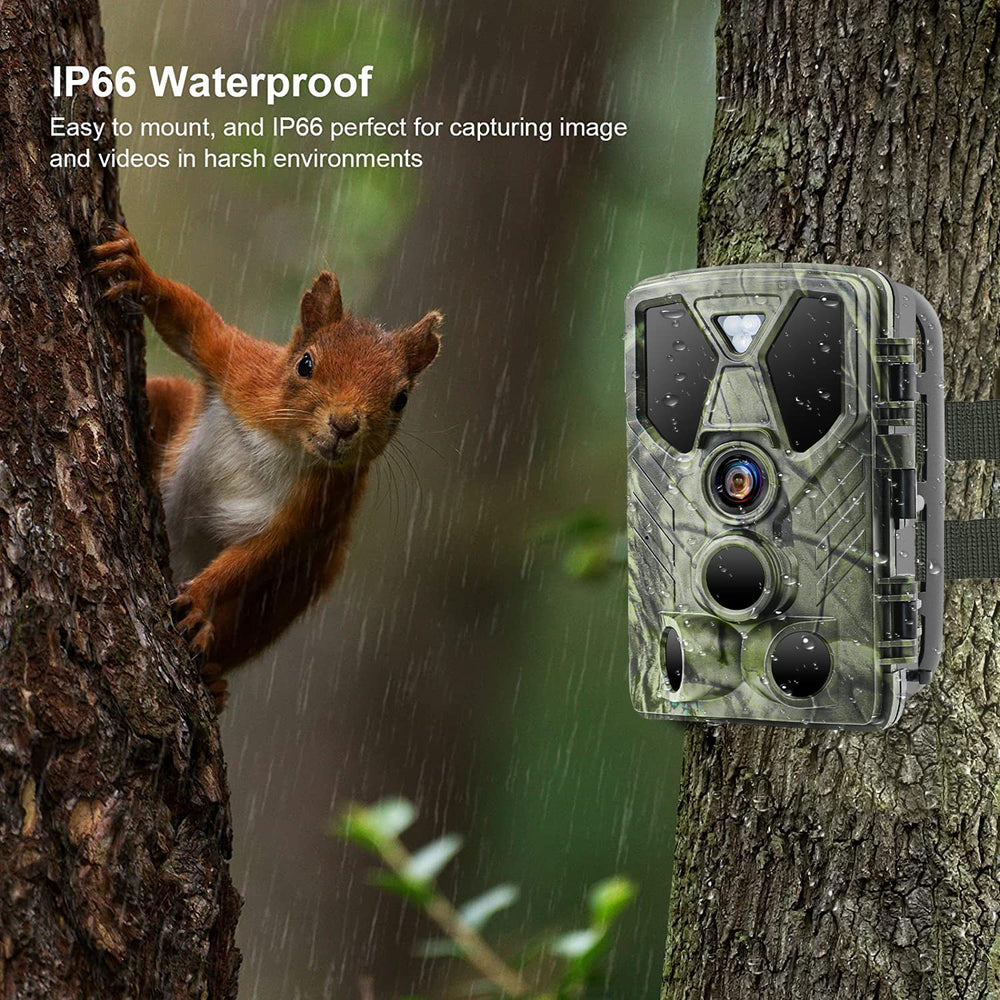 SuntekCam IP66 weatherproof build handles rain and dust.