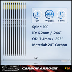 SUNYA carbon arrows with removable 100-grain tips for quick swaps.