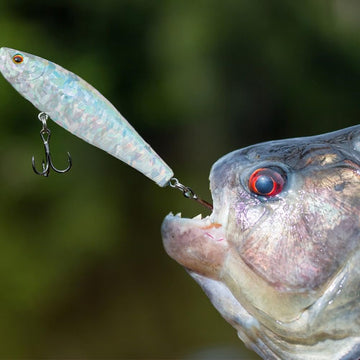 Superfindings lure tape ideal for DIY tackle and lures