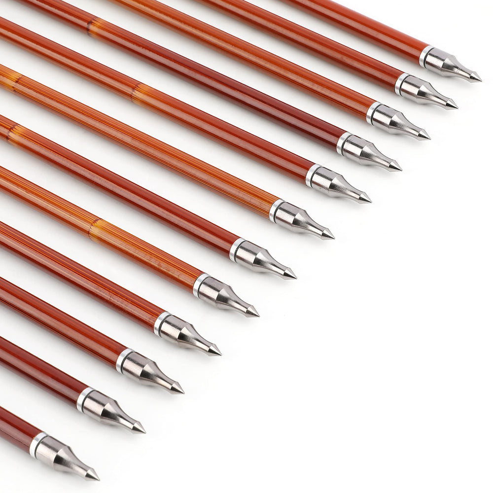 Surwolf 12-pack carbon arrows offer durable practice ammo for shooters.