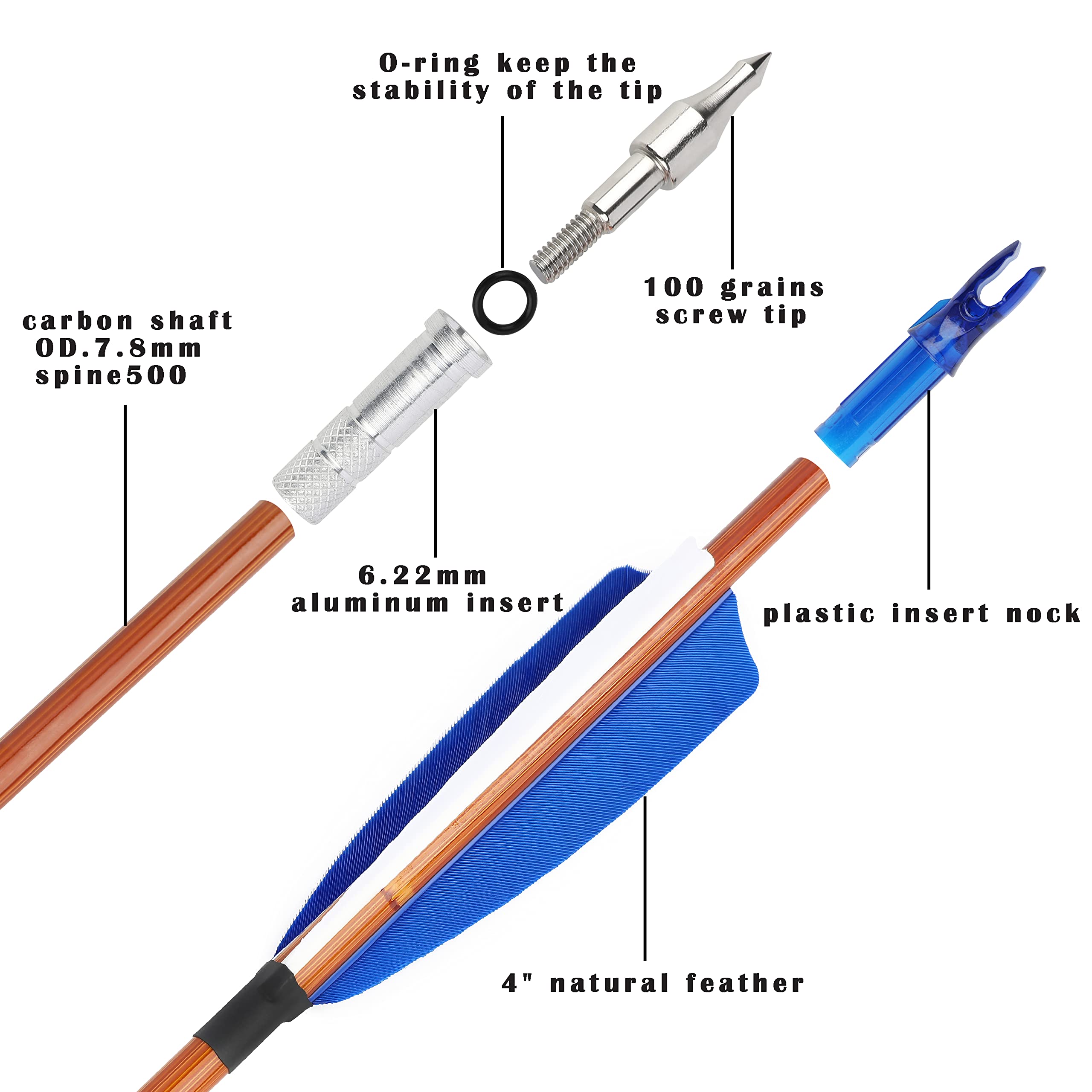 Surwolf spine 500 carbon arrows deliver consistent trajectory for beginners.