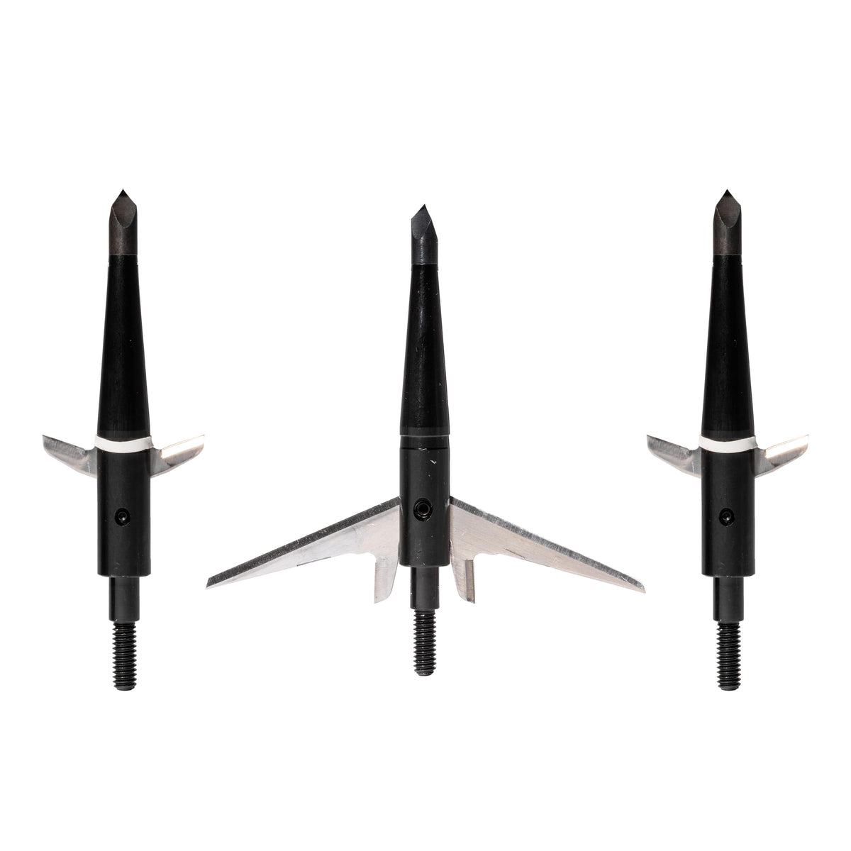 Swhacker #243 broadheads with a 3in cut assembly showing potential for a wide wound channel