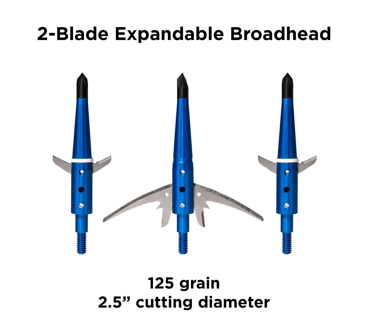 Swhacker Levi Morgan blue blade-lock feature shown for safe practice use.