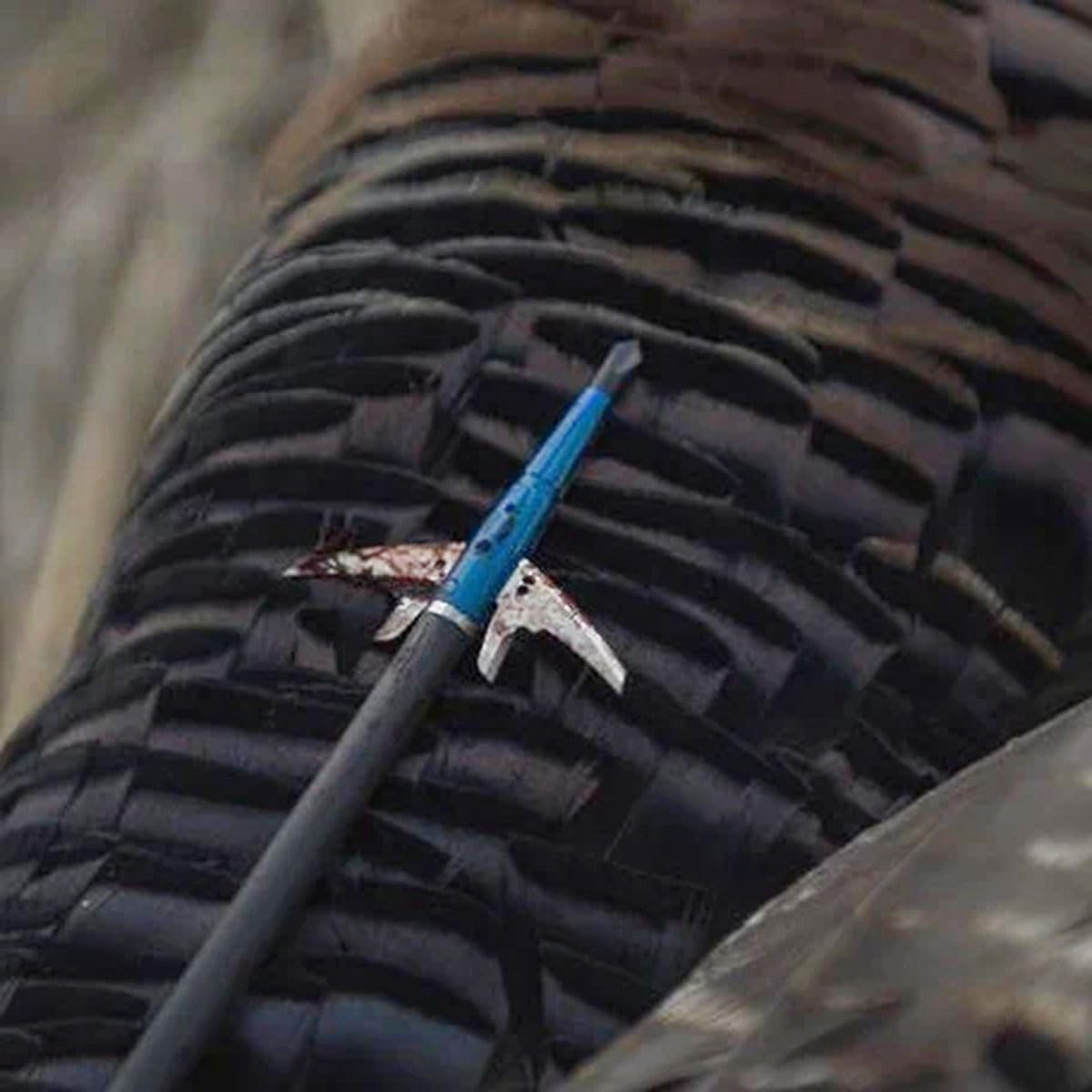 Swhacker Levi Morgan Series universal-fit broadhead with standard-thread compatibility