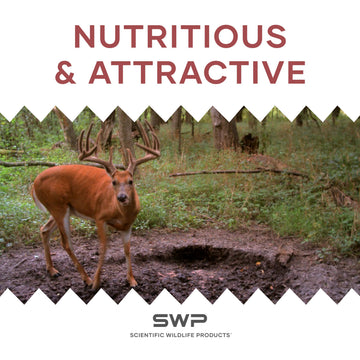 SWP Buck Builder trail-camera attract image with deer approaching the mineral lure.