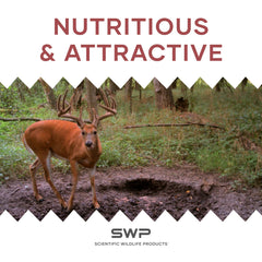 SWP Buck Builder trail-camera attract image with deer approaching the mineral lure.