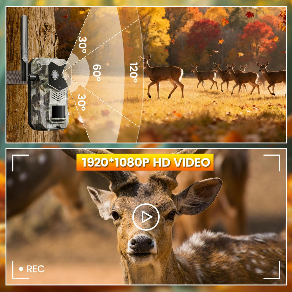 SYCAMTC Trail Camera dual lenses provide wide and tele views for versatile scouting.