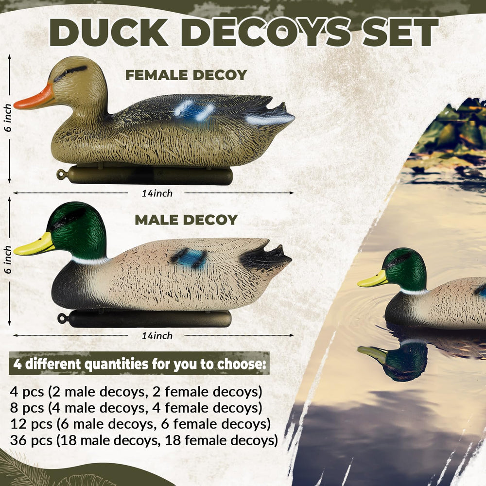 Syhood duck decoy female detail with natural migration colors