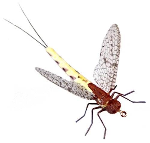 Synthfly Brown Drake Mayfly size 10