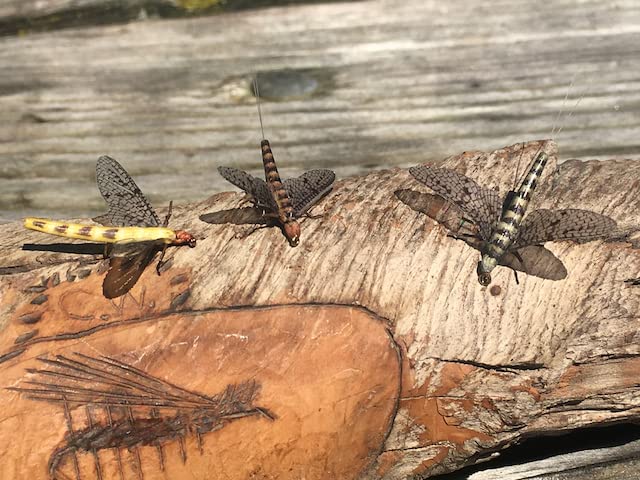 Synthfly Brown Drake Mayfly size 14