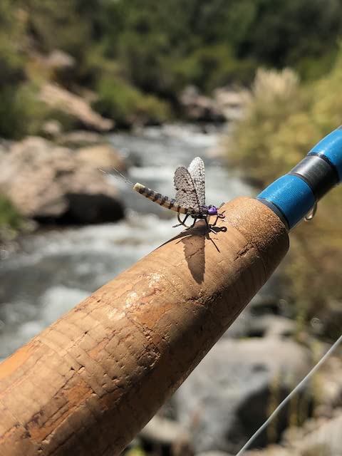 Synthfly Danica Mayfly size 10