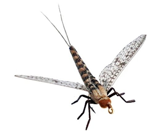 Synthfly Gray Drake Mayfly size 12