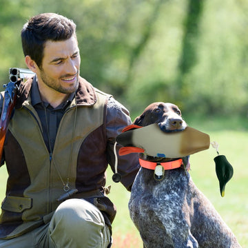SYWAN versatile dog toy for indoor bonding and outdoor training.