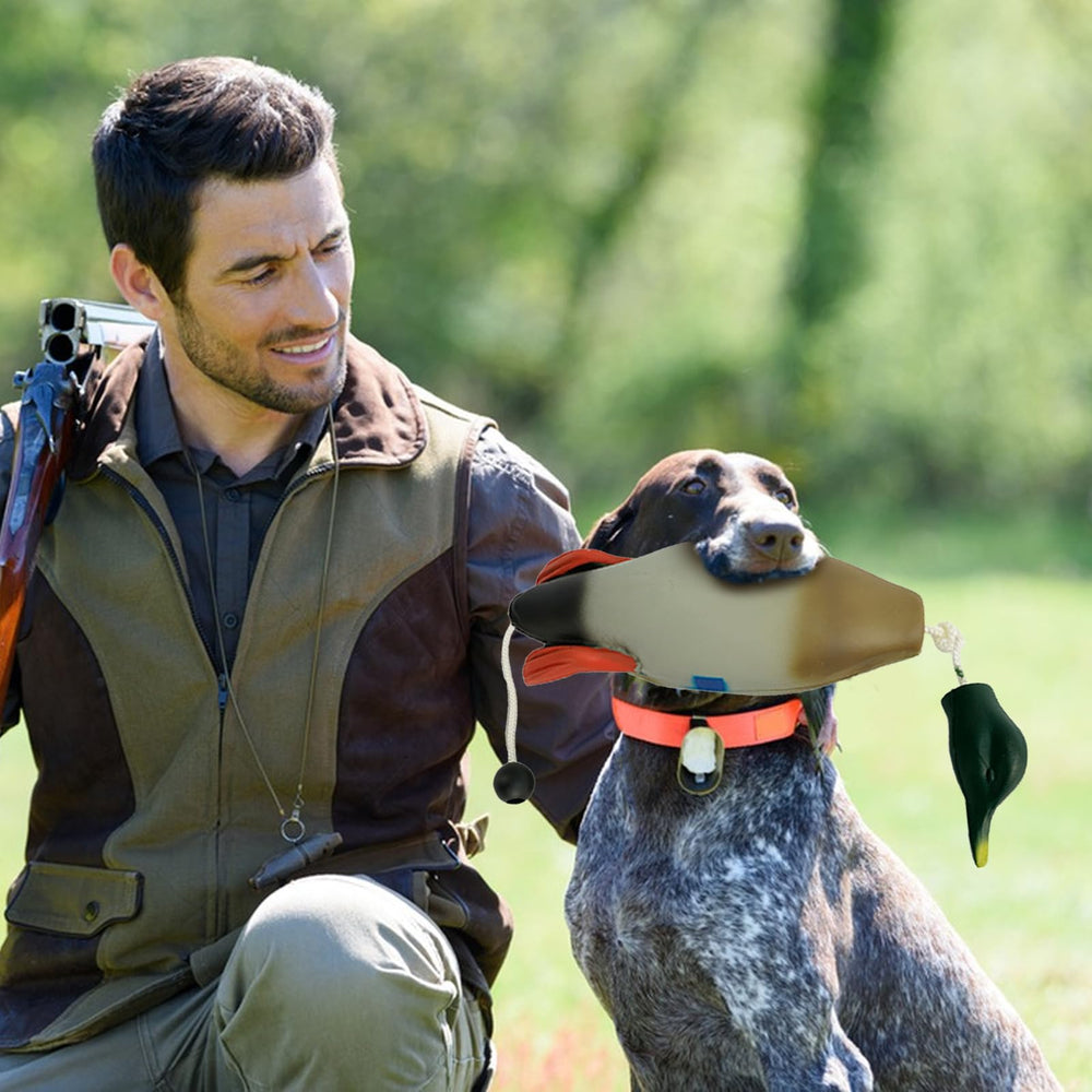 SYWAN versatile dog toy for indoor bonding and outdoor training.