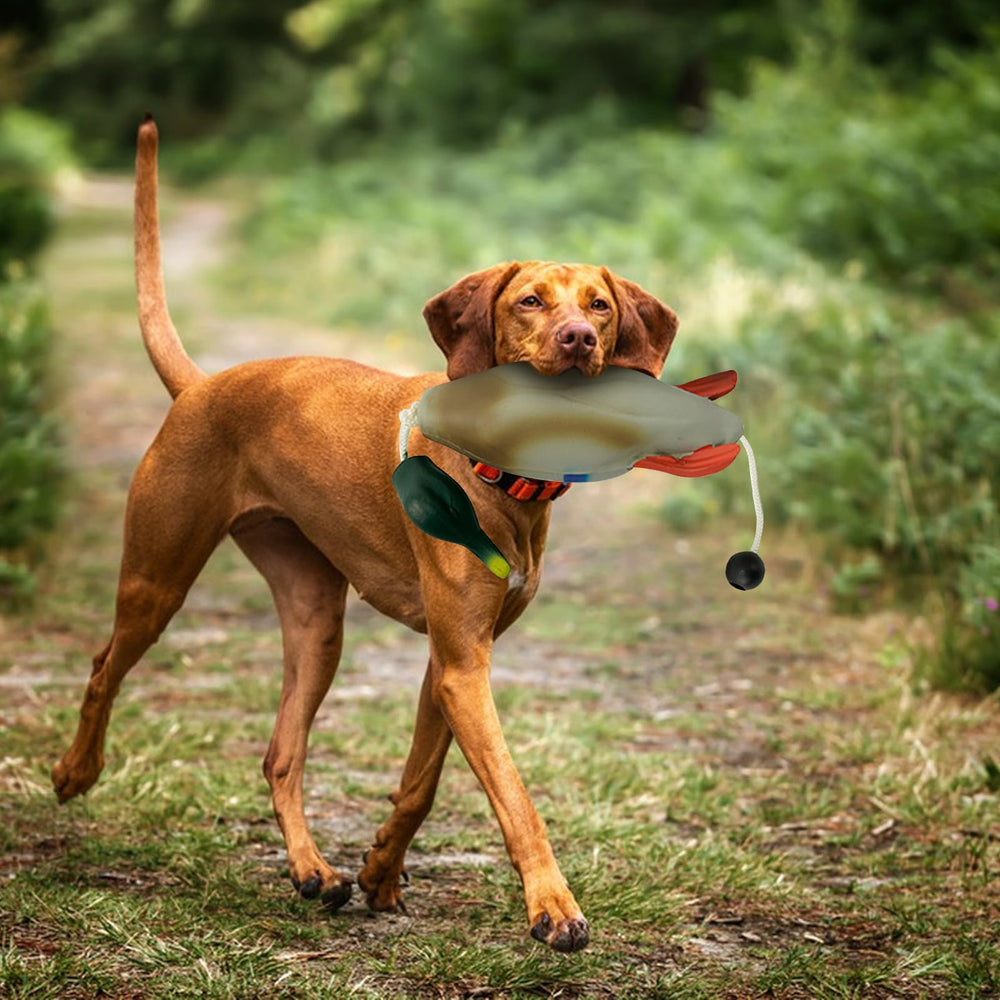 SYWAN duck dummy 39x10x9cm ideal for medium-large dogs.