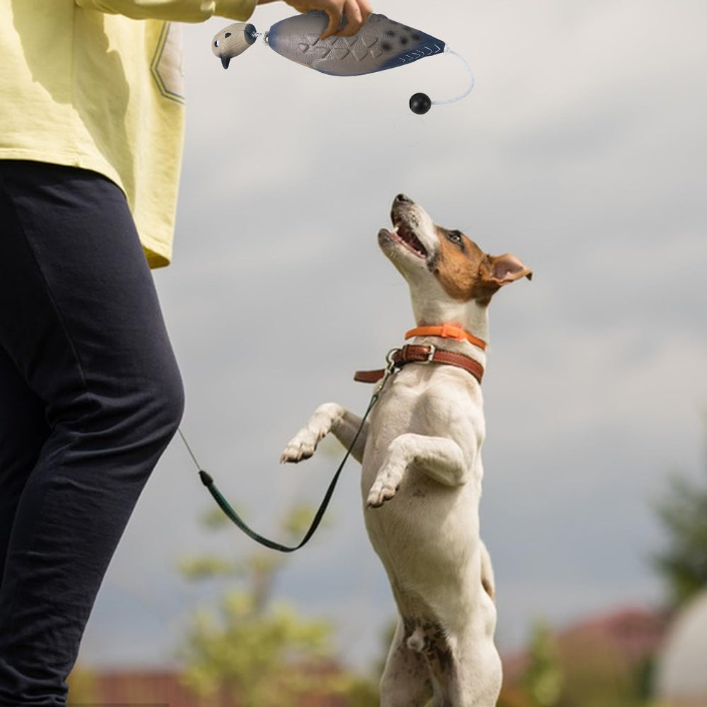 SYWAN durable dog training accessory built for frequent practice