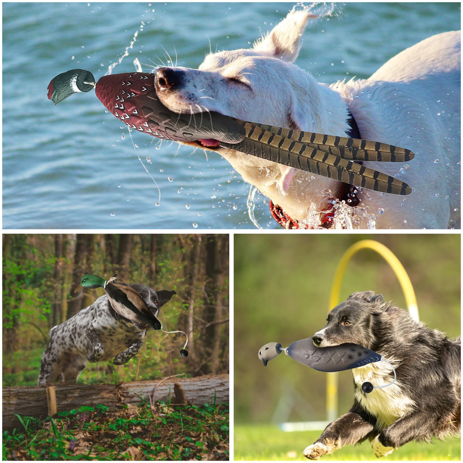 SYWAN EVA foam material for durable, easy-to-clean dog training dummies