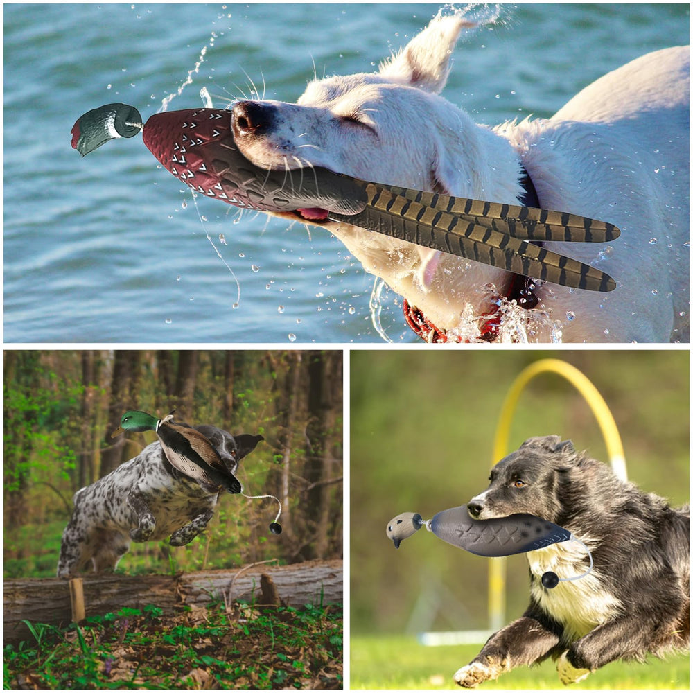 SYWAN EVA foam material for durable, easy-to-clean dog training dummies